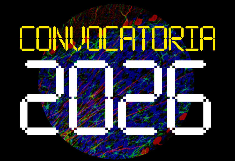 Convocatoria 2026