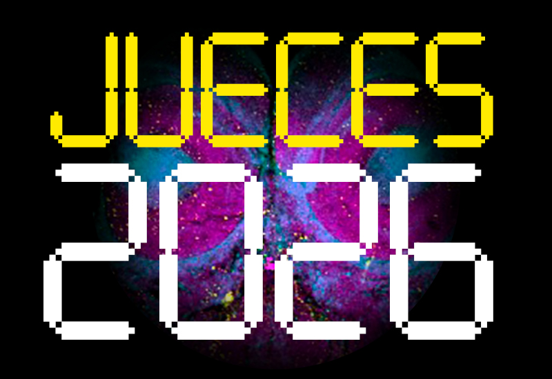 Nuestros jueces